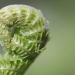 Freelancing Freedom: Essential Tips for Success in Today’s Gig Economy