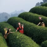 “Starting from Scratch: How to Launch Your Freelancing Career with Zero Experience”