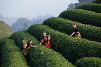 “Starting from Scratch: How to Launch Your Freelancing Career with Zero Experience”