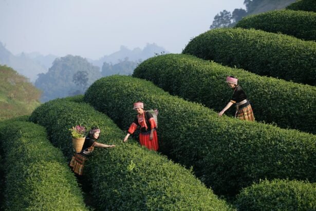 “Starting from Scratch: How to Launch Your Freelancing Career with Zero Experience”