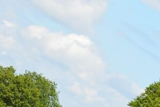 Navigating Success: Your Ultimate Freelancing Roadmap