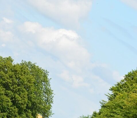 Navigating Success: Your Ultimate Freelancing Roadmap