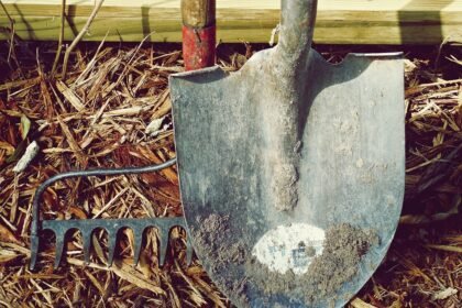 ai tools to make money