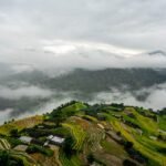 how to make money online step by step