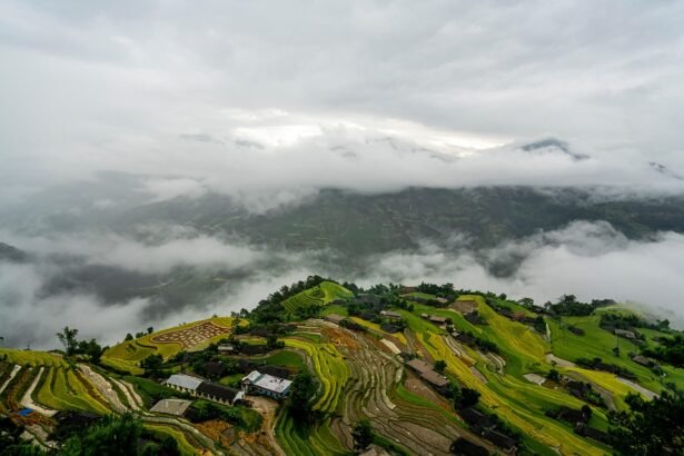 how to make money online step by step